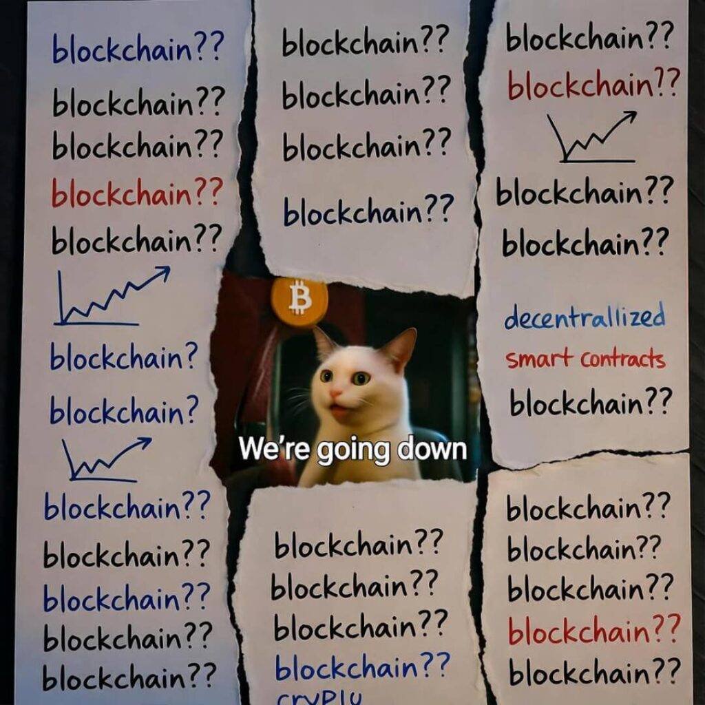 Torn notes morph into crypto cat.